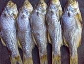 食用被污杂的鱼 易发生汞中毒