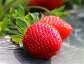 草莓新吃法 DIY5大甜品促消化