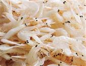 蝦皮怎么吃補鈣