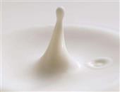新生儿尽早食用牛奶可预防牛乳蛋白过敏症