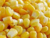 胆固醇高吃玉米好吗 玉米有的功效