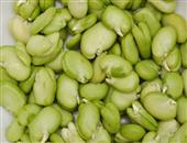 立夏多吃嫩蚕豆可以益气健脾