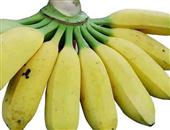 香蕉减肥瘦身法 教你吃出好身材水果