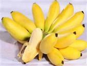 香蕉减肥法的正确食用方法水果