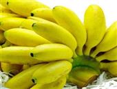 香蕉减肥法不可取