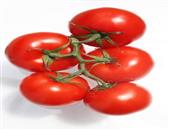 高血脂症能吃西红柿吗 高血脂会有什么表现