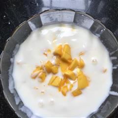 自制酸奶加芒果粒怎么做好吃?自制酸奶加芒果粒家常做法