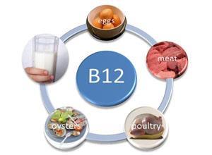 维生素B12缺乏所致贫血