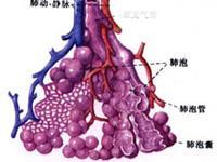 肺泡蛋白质沉积症