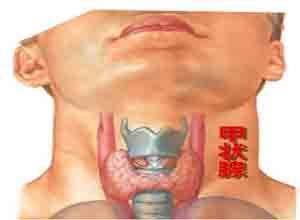 甲状腺功能亢进性肝病