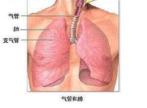 老年人慢性支气管炎