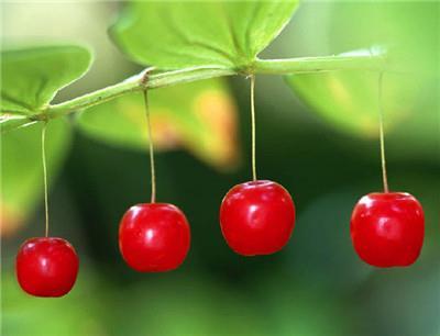 孕妇这样吃就不会经常饿肚子了