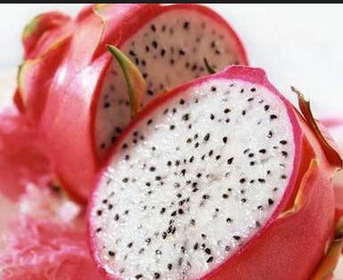 女性孕期可以吃火龙果吗