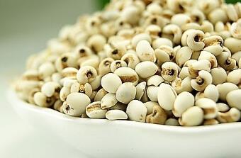 薏米的药用功效与禁忌