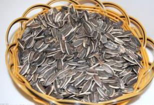 15种美味日常保健非常好