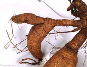 葛根的作用与功效  女性多吃葛根可护卵巢