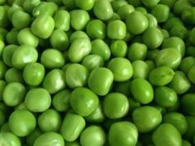 冬豌豆的七大保健功效