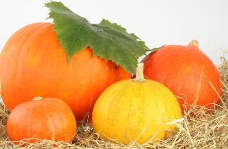 常吃南瓜有四大好处 可明目护心
