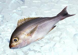 水产类食物的4个保鲜方法