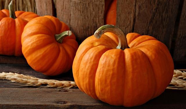 南瓜营养价值高 去燥补血美容
