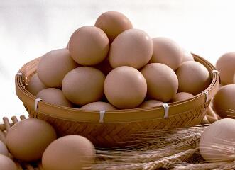 吃鸡蛋后忌吃7食物 鸡蛋营养有哪些