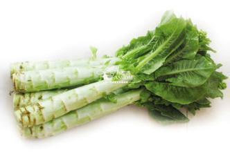 春食凉拌莴苣能养胃还能降火去燥