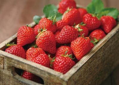 吃什么食物可以进行养肝护肝呢