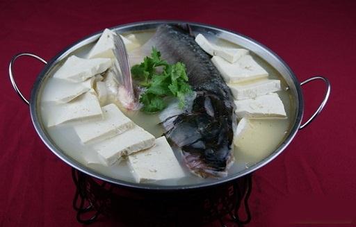 豆腐和鱼配营养会加倍