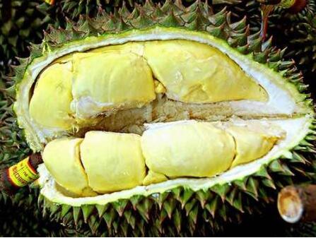 榴莲的核能吃吗