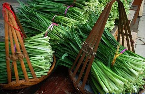韭菜必须要大家了解的治病功效