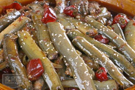 睡觉流口水黄酒冲服泥鳅粉