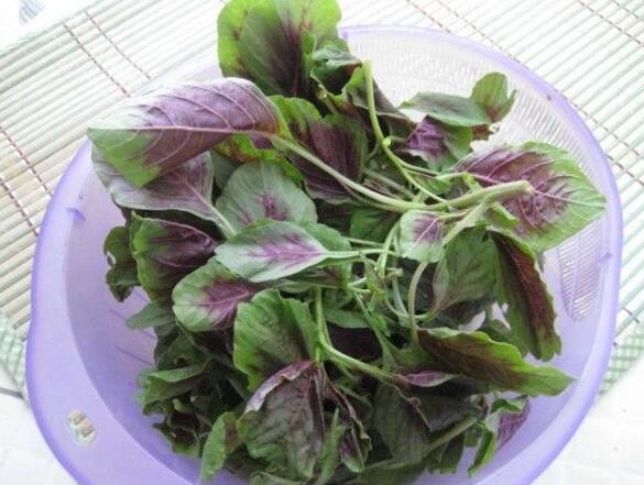 止痛的食物有哪些？吃什么好