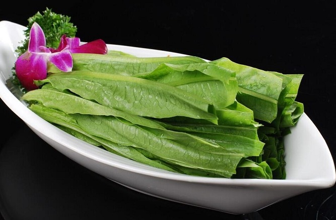 油麦菜的营养价值