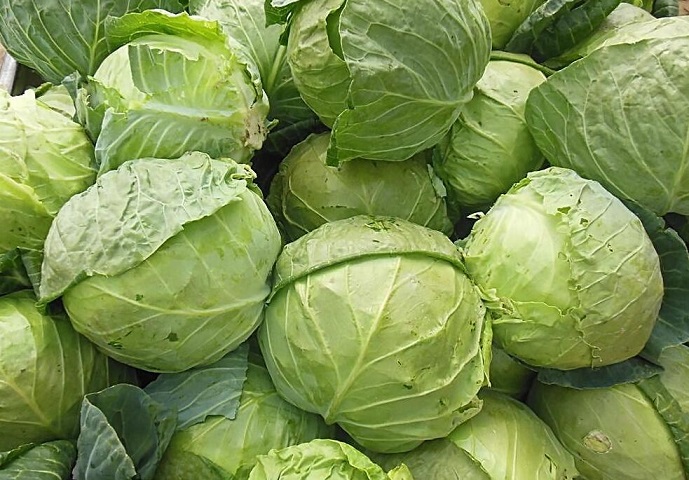 揭秘：卷心菜的7大保健功效