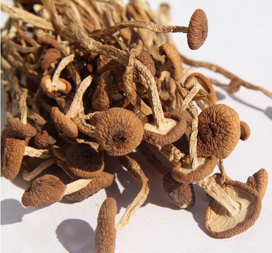 茶树菇玉米排骨汤，滋养美肤