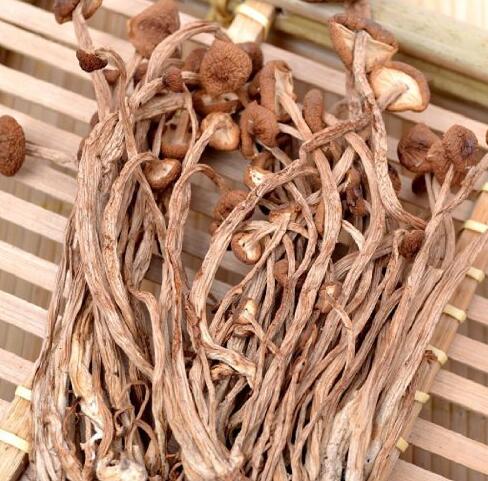 茶树菇好味道 如何挑选口感好