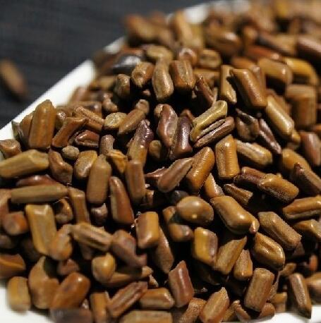 炒决明子好处多 降压又调脂