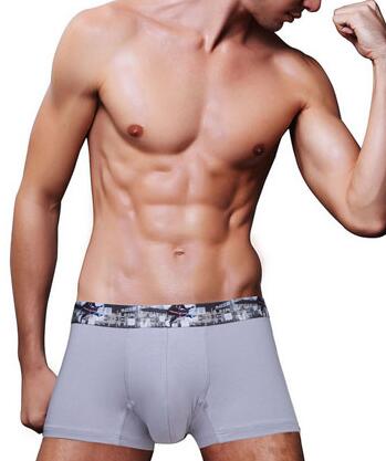 冬虫夏草海马汤补肾助阳益脾