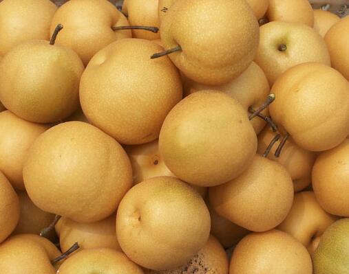 丰水梨能和鹅肉一起吃吗/同吃_丰水梨和鹅肉相克吗