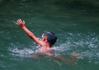 纤维素食纤细美丽