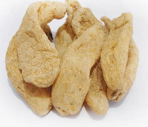 新鲜天麻怎么吃最简单又不损失药性 新鲜天麻的正确食用方法