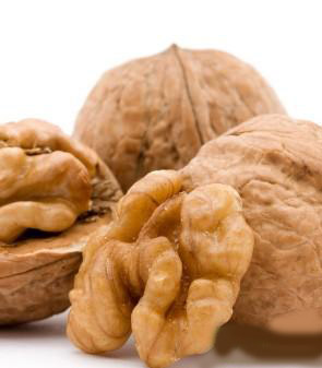 核桃营养丰富疗效多