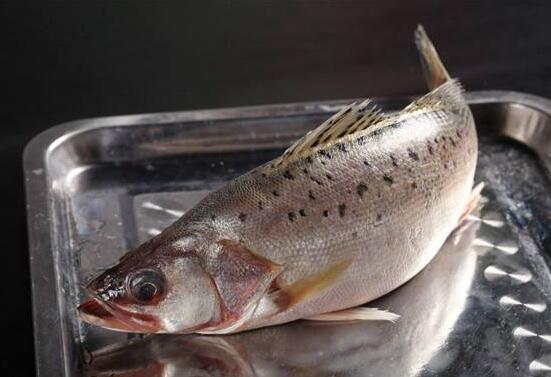 强身补血鲈鱼汤美味效很好