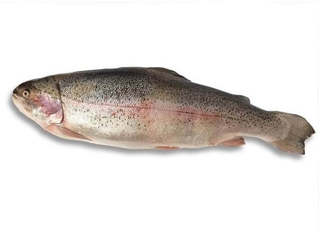 吃三文鱼可防老人痴呆