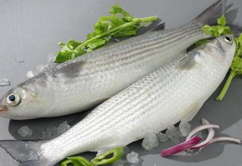 不思饮食的食物有哪些？吃什么好