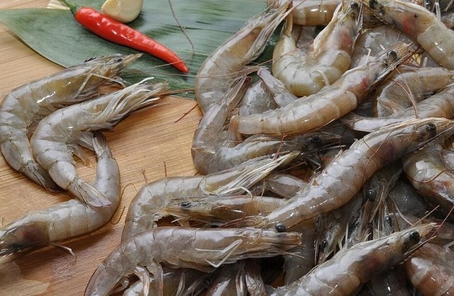 孕妇是否可以吃虾 虾不能和什么一起吃
