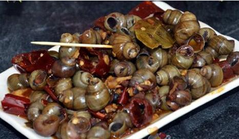 田螺的营养价值 田螺营养价值胜鲍鱼