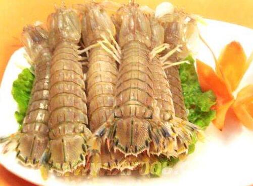 巧妙挑选肥美皮皮虾的小方法