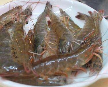 挑选新鲜虾 应该如何做？