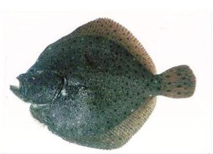 活血通络的食物有哪些？吃什么好